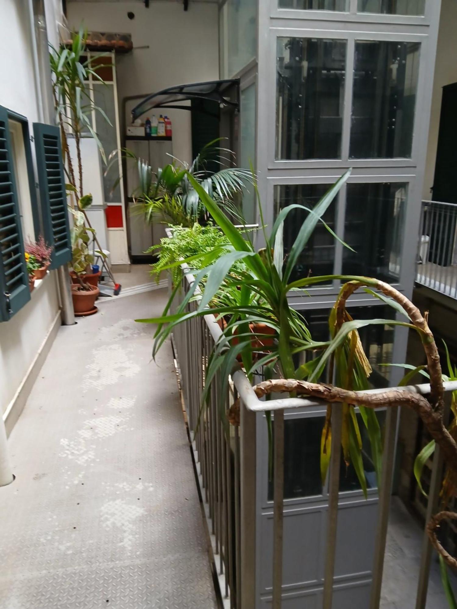B&B Casa Degli Artisti Palermo Buitenkant foto