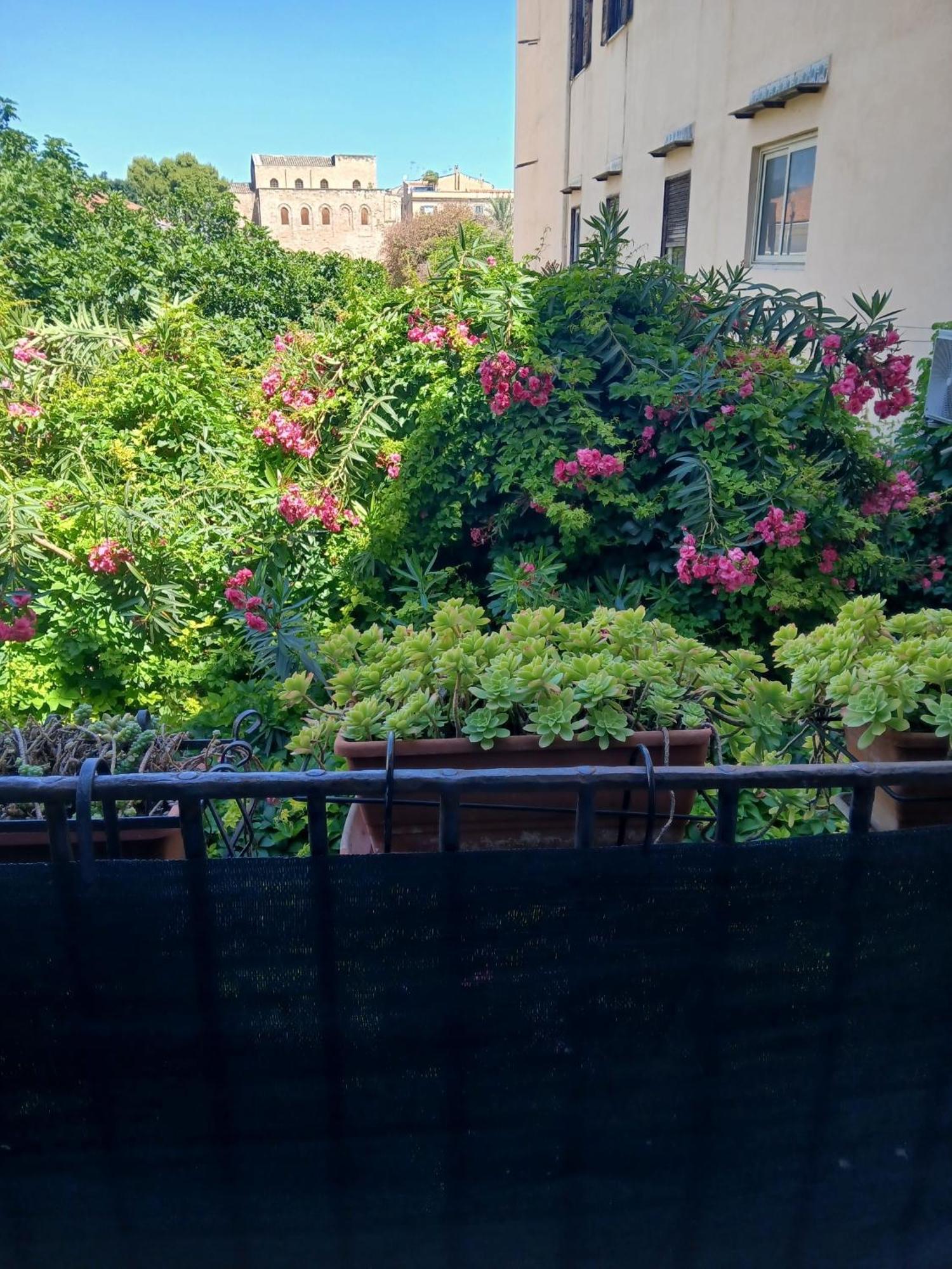 B&B Casa Degli Artisti Palermo Buitenkant foto